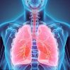 4 cách đơn giản giúp bạn nuôi dưỡng phổi khỏe mạnh, tránh xa bệnh tật trong mùa đông
